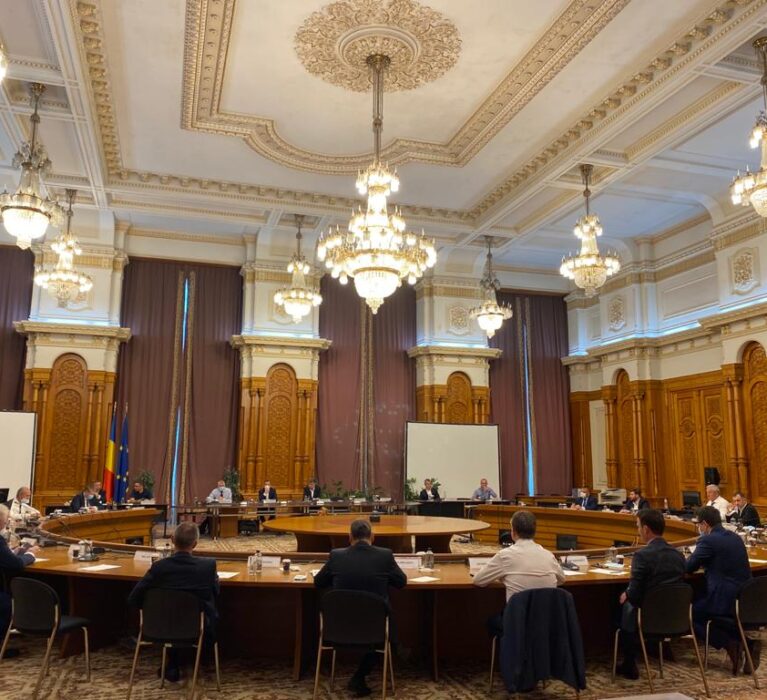 Întâlnirea Comitetului Director al AMR cu Președintele Camerei Deputaților și cu  liderii grupurilor politice din Camera Deputaților