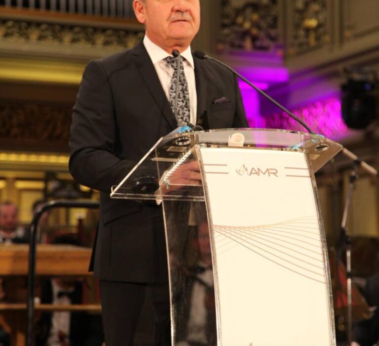 GALA DE EXCELENTA AMR 2017