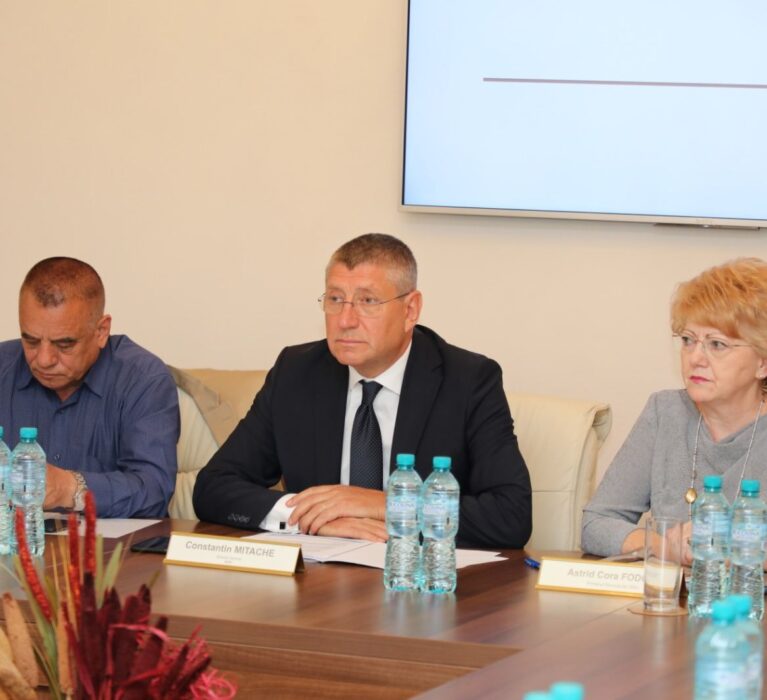 Reuniunea Comitetului Director al AMR, București – 29 iulie 2019