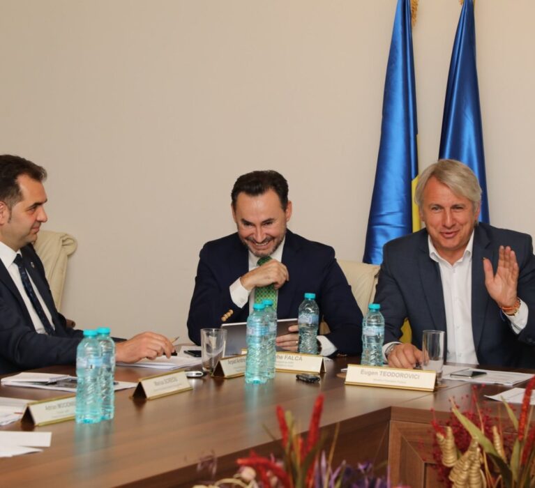 Reuniunea Comitetului Director al AMR, București, 13 mai 2019