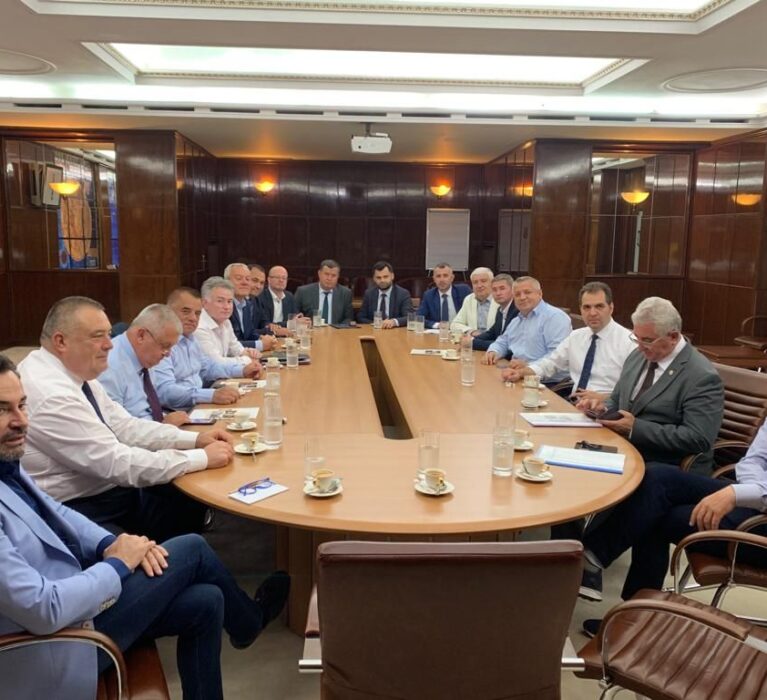 Întâlnire de lucru cu premierul Viorica Dăncilă