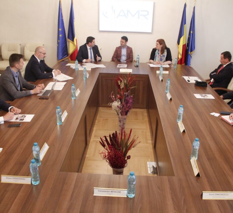 Discuții cu reprezentanții Ministerului Comunicațiilor  și Societății Informaționale