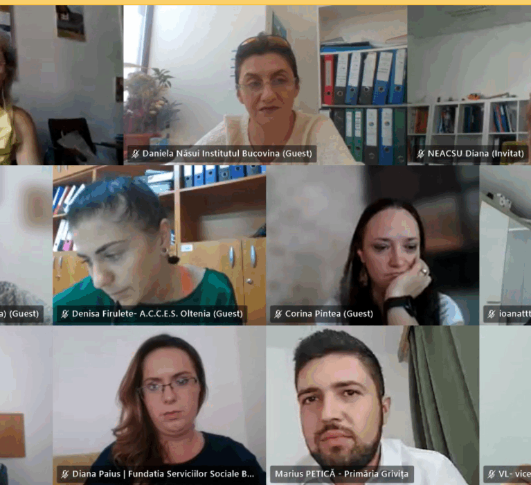 Întâlnire în cadrul programului „Promotorii Voluntariatului în România”