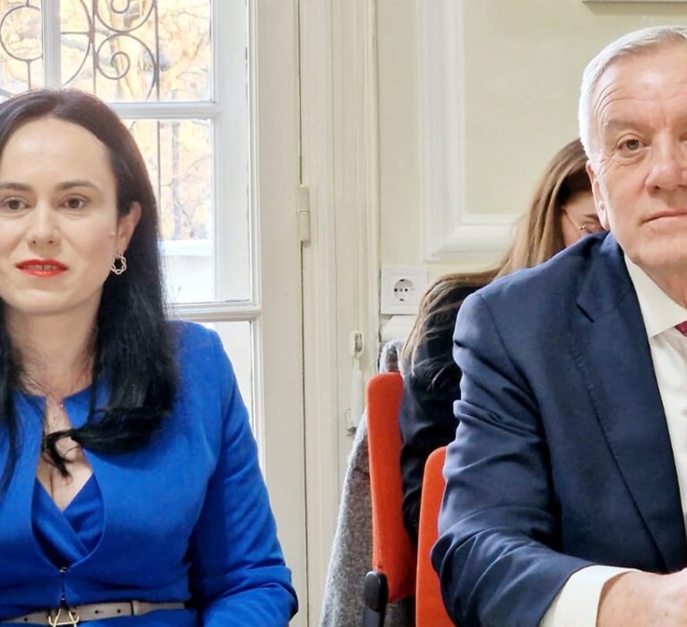 Vizita delegației poloneze in Romania