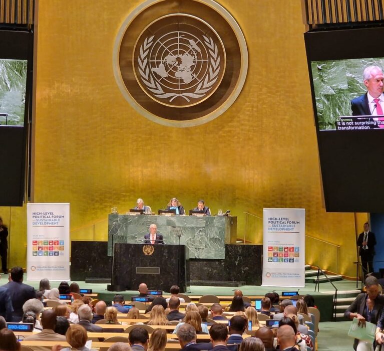 Primarul Sectorului 6, Ciprian Ciucu, reprezentantul AMR la Forumul ONU de la Nivel Înalt privind Dezvoltarea Durabilă, de la New York