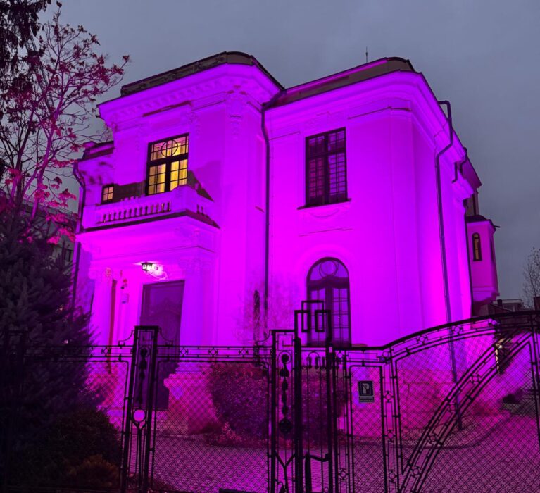 3 Decembrie – Ziua Internațională a Persoanelor cu Dizabilități