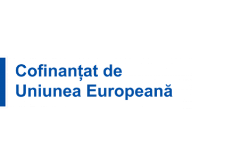Construirea unei afaceri solide și sustenabile